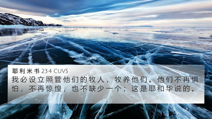 耶 利 米 书 23:4 CUVS Bible Verse Image