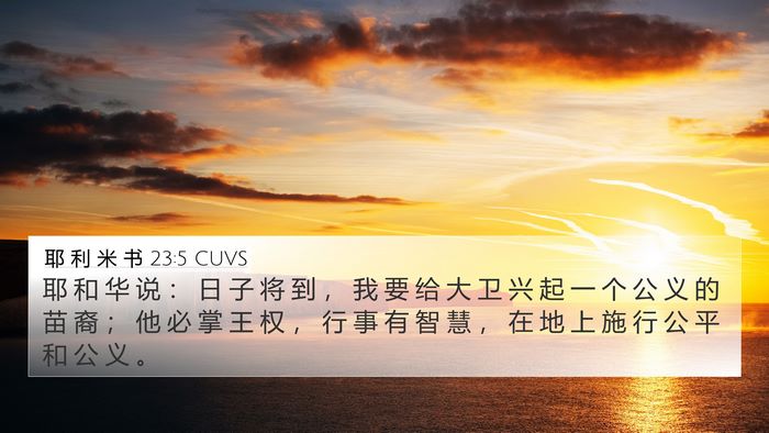 耶 利 米 书 23:5 CUVS Bible Verse Image