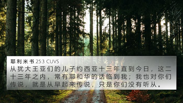 耶 利 米 书 25:3 CUVS Bible Verse Image