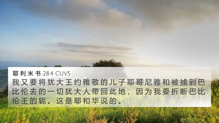 耶 利 米 书 28:4 CUVS Bible Verse Image