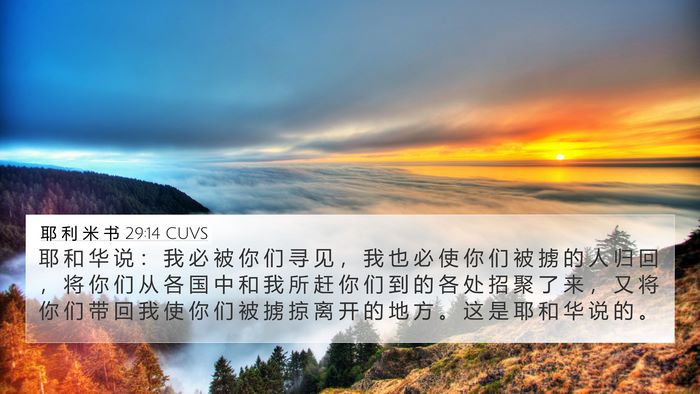 耶 利 米 书 29:14 CUVS Bible Verse Image
