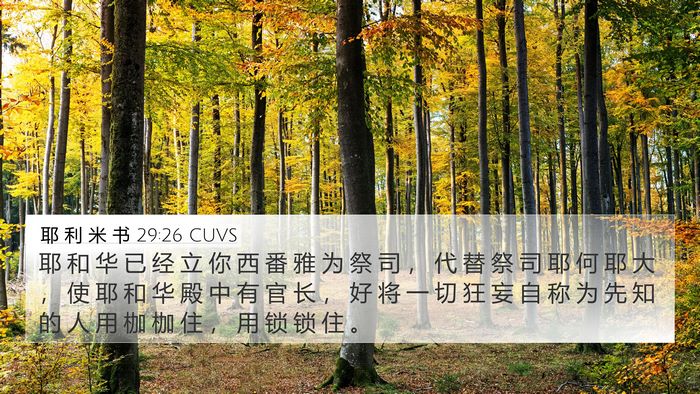 耶 利 米 书 29:26 CUVS Bible Verse Image