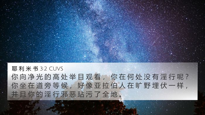 耶 利 米 书 3:2 CUVS 4K Wallpaper - 你 向 净 光 的 高 处 举 目 观 看 ， - 4K Wallpaper Bible Verse