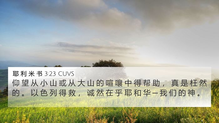 耶 利 米 书 3:23 CUVS Bible Verse Image