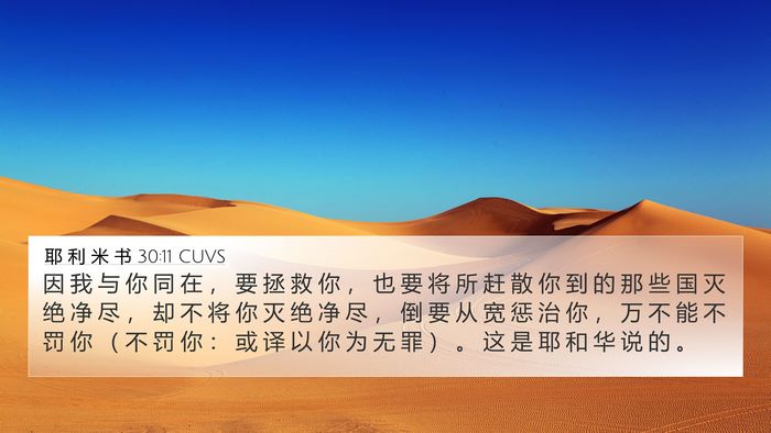 耶 利 米 书 30:11 CUVS Bible Verse Image