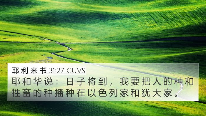 耶 利 米 书 31:27 CUVS Bible Verse Image