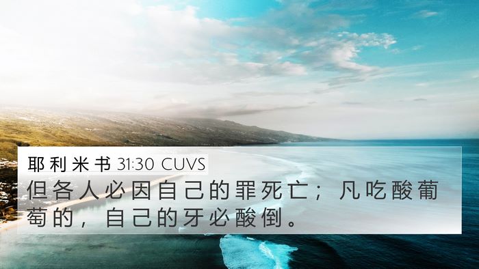 耶 利 米 书 31:30 CUVS 4K Wallpaper - 但 各 人 必 因 自 己 的 罪 死 亡 ； - 4K Wallpaper Bible Verse