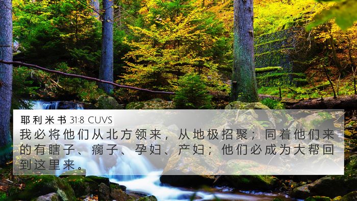 耶 利 米 书 31:8 CUVS Bible Verse Image