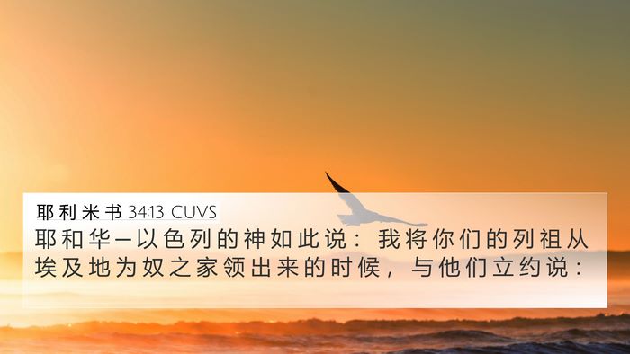 耶 利 米 书 34:13 CUVS Bible Verse Image