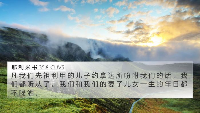 耶 利 米 书 35:8 CUVS Bible Verse Image