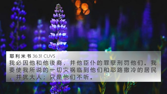 耶 利 米 书 36:31 CUVS Bible Verse Image
