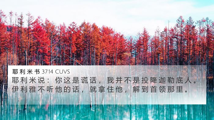 耶 利 米 书 37:14 CUVS Bible Verse Image