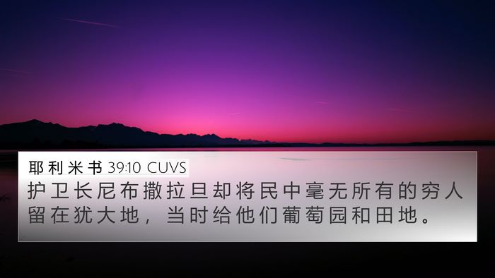耶 利 米 书 39:10 CUVS Bible Verse Image