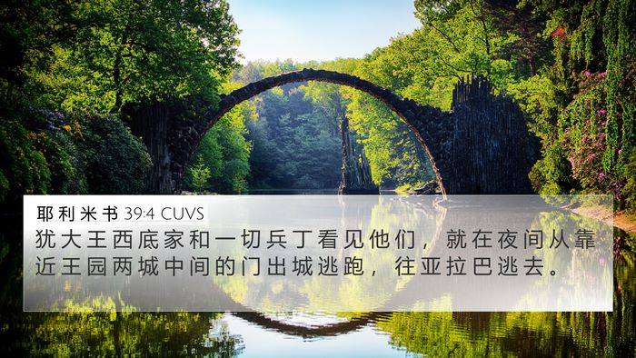 耶 利 米 书 39:4 CUVS Bible Verse Image
