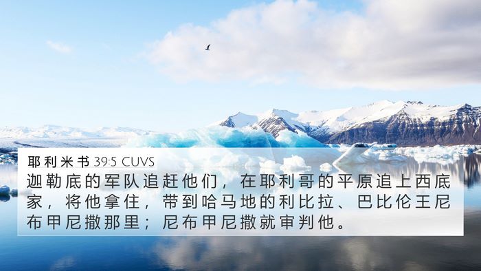 耶 利 米 书 39:5 CUVS Bible Verse Image