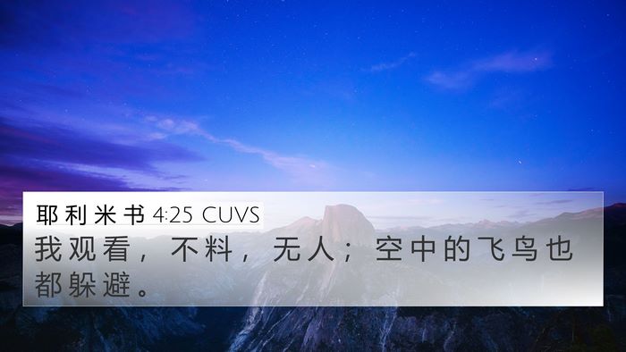 耶 利 米 书 4:25 CUVS Bible Verse Image