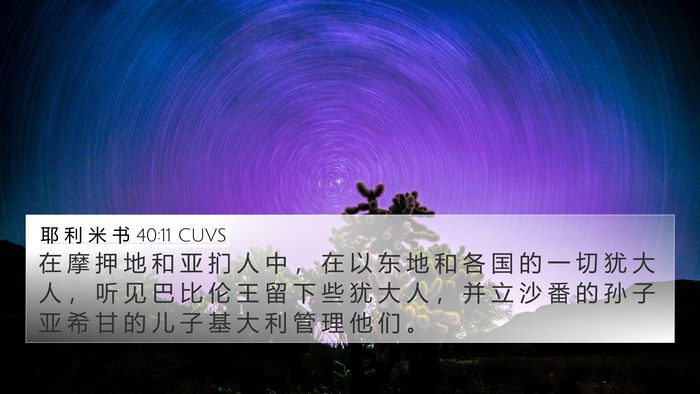 耶 利 米 书 40:11 CUVS Bible Verse Image