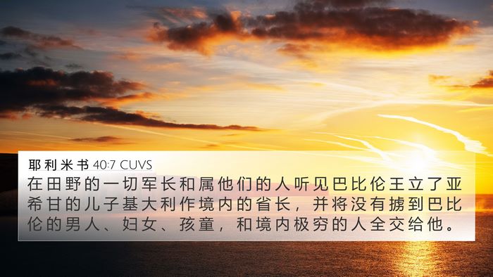 耶 利 米 书 40:7 CUVS Bible Verse Image