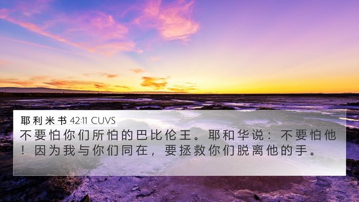 耶 利 米 书 42:11 CUVS 4K Wallpaper - 不 要 怕 你 们 所 怕 的 巴 比 伦 王 - 4K Wallpaper Bible Verse
