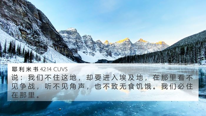耶 利 米 书 42:14 CUVS 4K Wallpaper - 说 ： 我 们 不 住 这 地 ， 却 要 进 - 4K Wallpaper Bible Verse