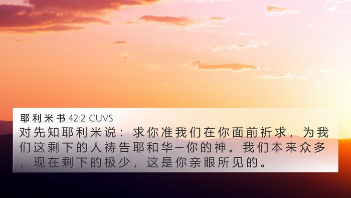 耶 利 米 书 42:2 CUVS Bible Verse Image