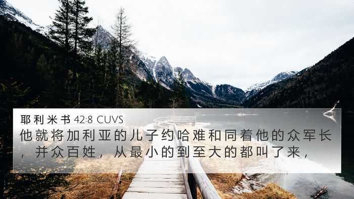 耶 利 米 书 42:8 CUVS Bible Verse Image