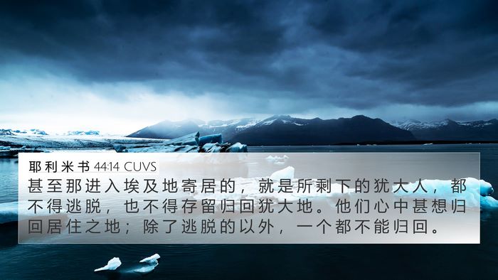 耶 利 米 书 44:14 CUVS Bible Verse Image