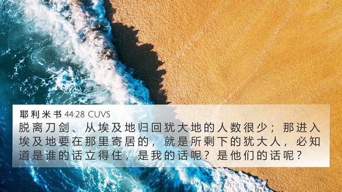 耶 利 米 书 44:28 CUVS Bible Verse Image