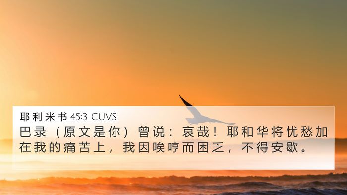 耶 利 米 书 45:3 CUVS 4K Wallpaper - 巴 录 （ 原 文 是 你 ） 曾 说 ： 哀 - 4K Wallpaper Bible Verse