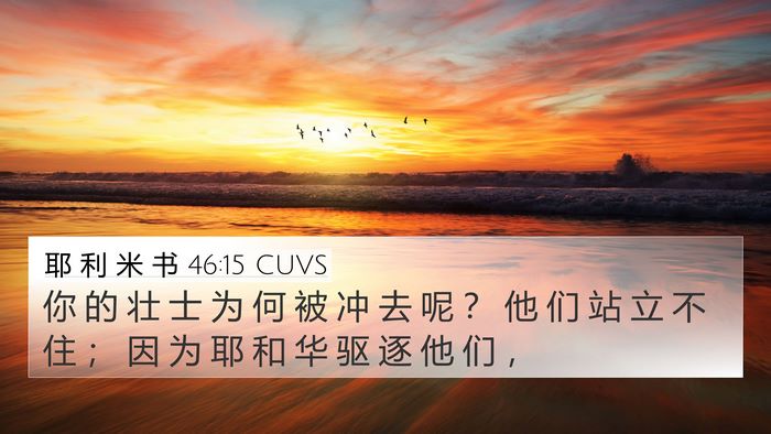 耶 利 米 书 46:15 CUVS Bible Verse Image