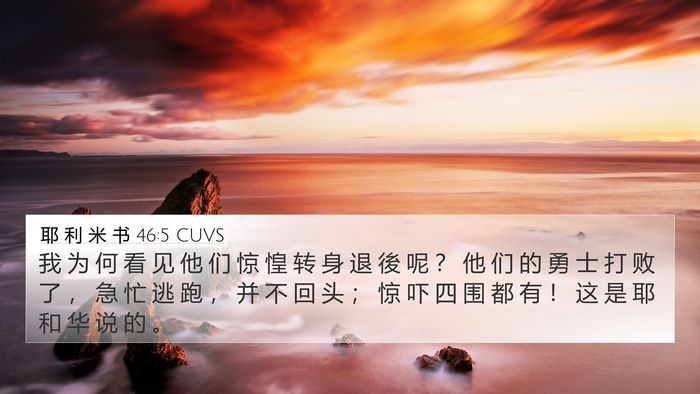 耶 利 米 书 46:5 CUVS Bible Verse Image