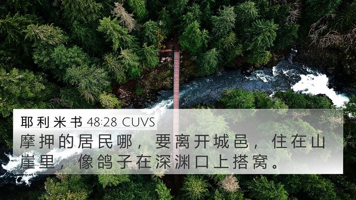 耶 利 米 书 48:28 CUVS Bible Verse Image