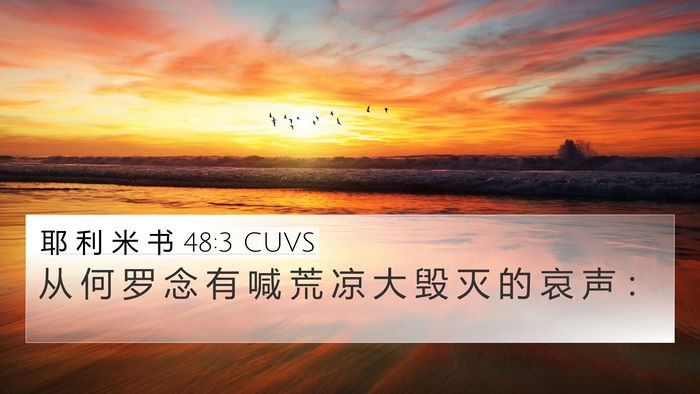 耶 利 米 书 48:3 CUVS 4K Wallpaper - 从 何 罗 念 有 喊 荒 凉 大 毁 灭 的 - 4K Wallpaper Bible Verse