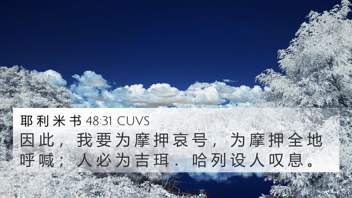 耶 利 米 书 48:31 CUVS Bible Verse Image