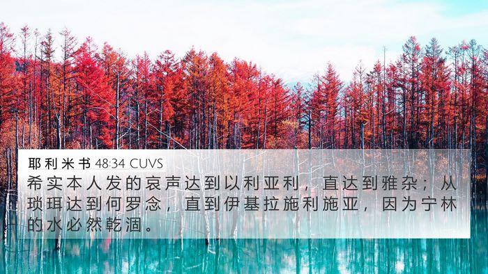 耶 利 米 书 48:34 CUVS Bible Verse Image