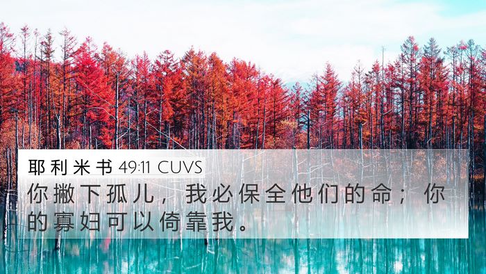 耶 利 米 书 49:11 CUVS Bible Verse Image