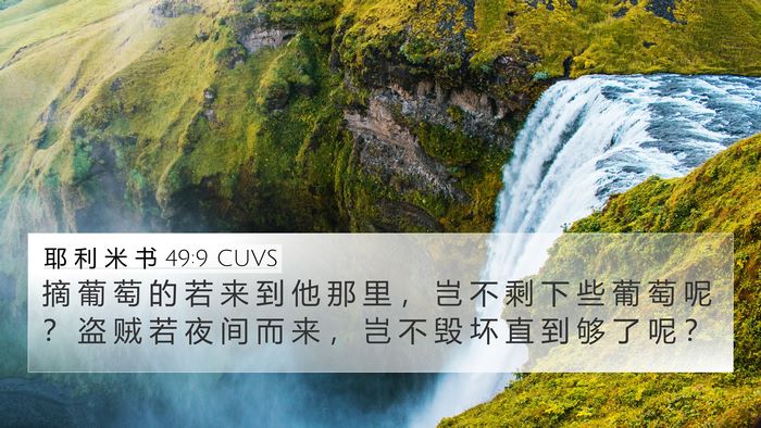 耶 利 米 书 49:9 CUVS Bible Verse Image