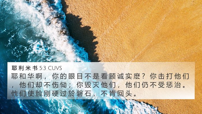 耶 利 米 书 5:3 CUVS Bible Verse Image