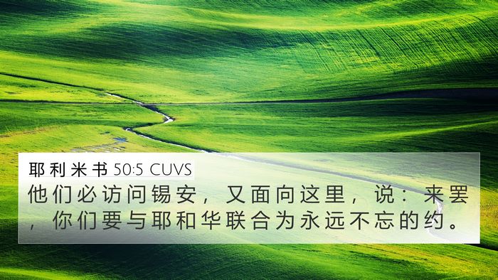 耶 利 米 书 50:5 CUVS Bible Verse Image
