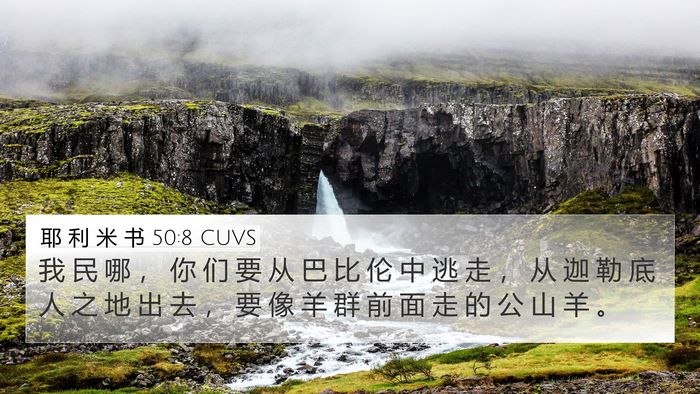 耶 利 米 书 50:8 CUVS Bible Verse Image