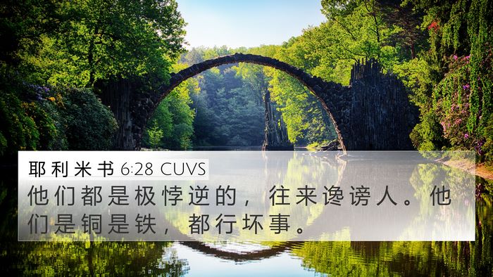耶 利 米 书 6:28 CUVS Bible Verse Image