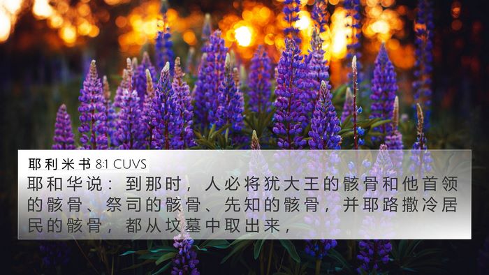 耶 利 米 书 8:1 CUVS Bible Verse Image