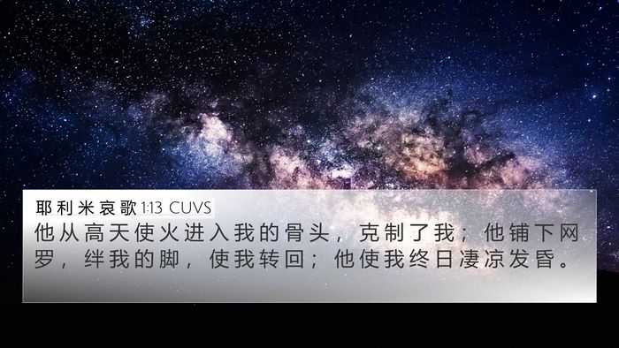 耶 利 米 哀 歌 1:13 CUVS Bible Verse Image