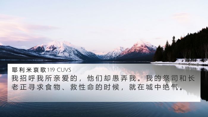 耶 利 米 哀 歌 1:19 CUVS Bible Verse Image