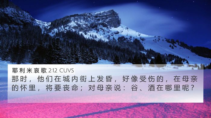 耶 利 米 哀 歌 2:12 CUVS Bible Verse Image