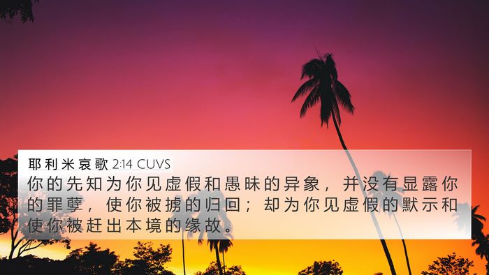 耶 利 米 哀 歌 2:14 CUVS Bible Verse Image