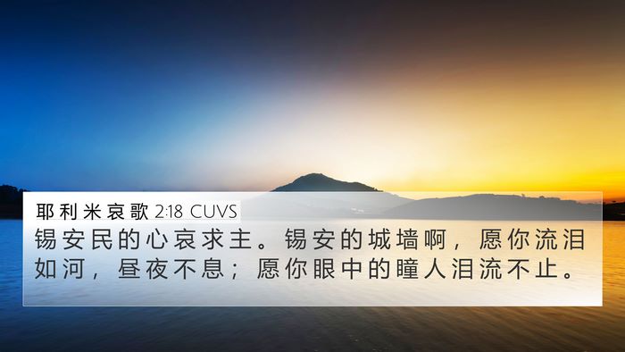 耶 利 米 哀 歌 2:18 CUVS Bible Verse Image