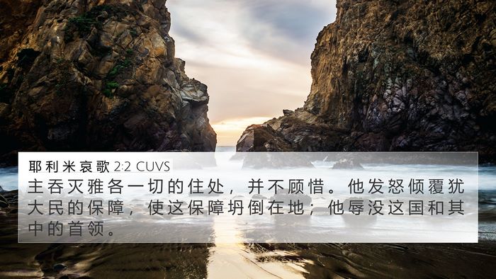 耶 利 米 哀 歌 2:2 CUVS Bible Verse Image