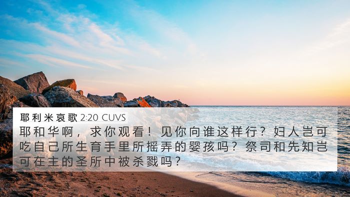 耶 利 米 哀 歌 2:20 CUVS Bible Verse Image
