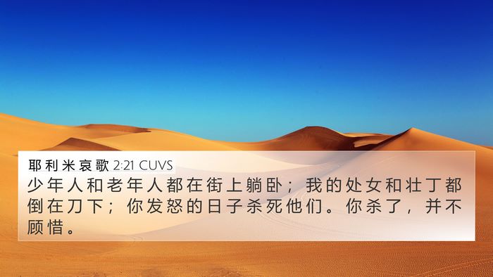 耶 利 米 哀 歌 2:21 CUVS Bible Verse Image